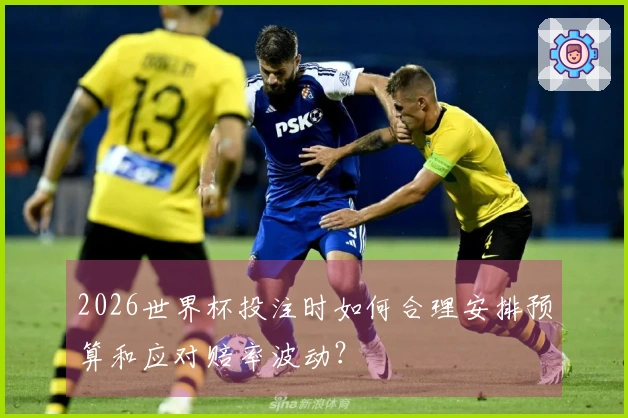 2026世界杯投注时如何合理安排预算和应对赔率波动？